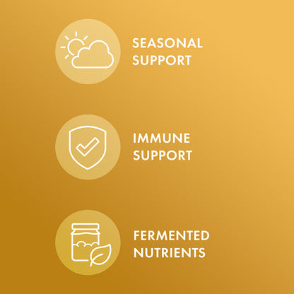 Fermented Beta Glucans - shop at BiosenseClinic.com - Fortify Your Defenses with Fermented Beta Glucans: Your Daily Immune Boost!