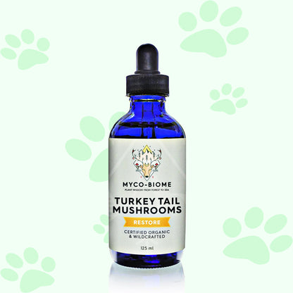 Adored Beast Turkey Tail Mushrooms | Liquid Triple Extract 125ml - biosense-clinic.com